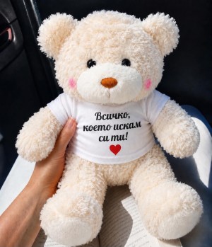 Мече 30 см с надпис - Всичко, което искам, си ти!
